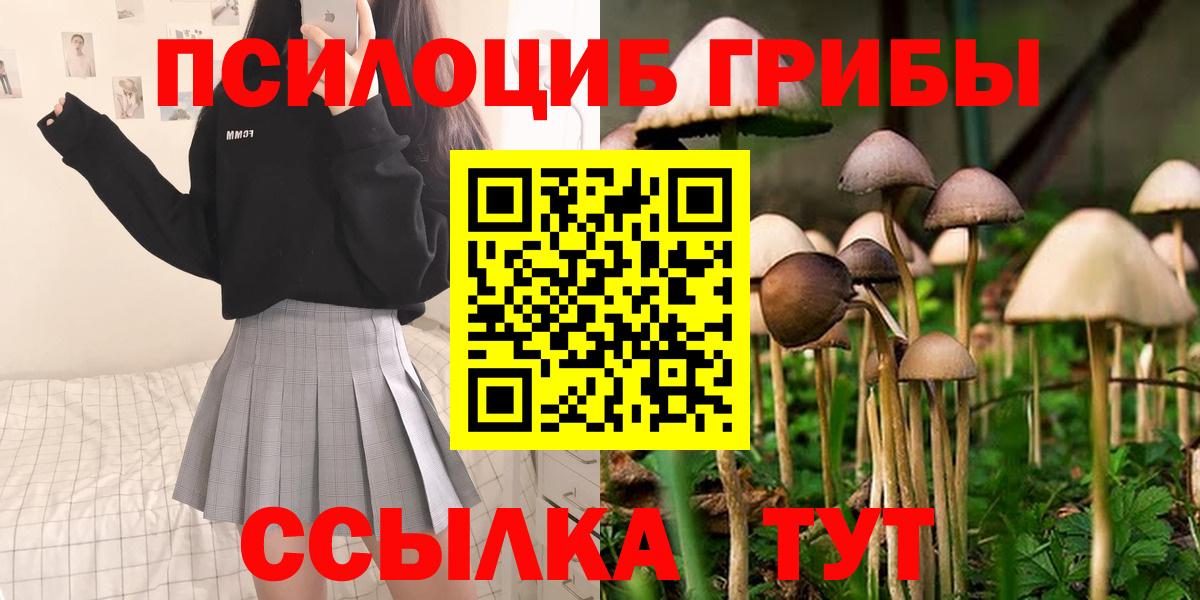 Псилоцибиновые грибы мицелий Каспийск