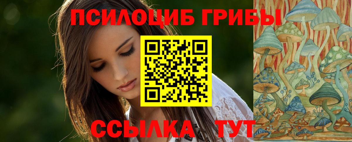 Галлюциногенные грибы Magic Shrooms  Вход с VPN  Каспийск 